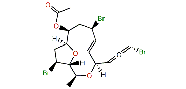 (4R,7S,9R,10R,12R,13S,14R)-7,12-Dibromo-obtusallenyl acetate III
